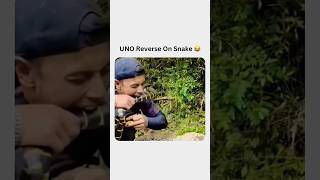 UNO Reverse On Snake 🐍 😂😂😂reels shorts viral funny trending comedy meme snake [upl. by Yoj]