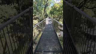 Mossman Gorge mossmangorge rainforest travel adventure northqueensland [upl. by Conny753]