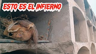 Regresamos al PEOR CEMENTERIO DEL PERU  Esto es el Infierno ftAdonisGarcía [upl. by Shelton]