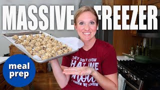 MASSIVE MEAL PREP  FREEZER MEALS FOR A LARGE FAMILY ON A BUDGET  VLOGMAS 17 [upl. by Ailel959]