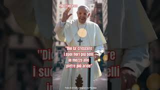 Papa Francesco aforismi frasimotivazionali frasifamose citazionifamose frasicelebri [upl. by Maritsa388]