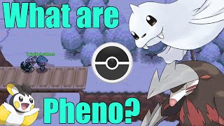 What is a Pheno amp How do I Find Them  PokeMMO [upl. by Ergener]