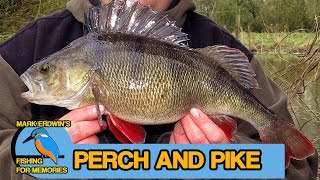 Perch and Chub fishing  Catching Pike amp Perch Video 71 [upl. by Helene]