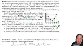 Enzyme amylase là một protein có khả năng xúc tác cho phản ứng thủy phân tinh bột Hoạt tính xúc tác [upl. by Anaujahs]