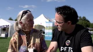 Dr Jane Goodall at The VET Festival 2015 [upl. by Ardis198]