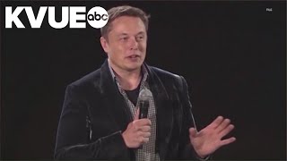 Elon Musk offers to pay people who refer voters to the American PAC petition [upl. by Merriott146]