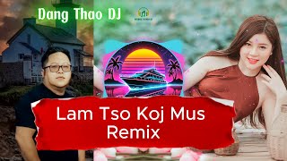 Lam Tso Koj Mus DJ Remix  Dang Thao  Nkauj Tawm Tshiab  Lam tso koj mus tias ua ib siab [upl. by Anibur]