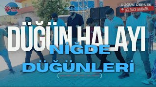 Dügün Halayı  Anadolu Düğünleri  Niğde Düğünü Sizlerle  MelendizkulaTV [upl. by Harlow793]