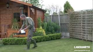 How to Over Seed a Lawn after Raking or Scarifying [upl. by Ardene]