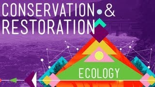 Conservation and Restoration Ecology Crash Course Ecology 12 [upl. by Girardi]