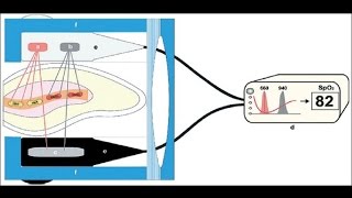 How does pulse oximeter works [upl. by Greenman]