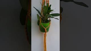 handmade plant hanger balcony garden [upl. by Lothaire]