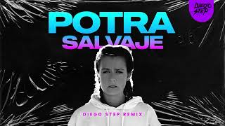 Isabel Aaiún x Sebastian Ingrosso Alesso  Potra Salvaje Diego Step Remix [upl. by Alilahk]