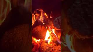 My dugout in the forest Im remodeling my chimney Insulated the front door dugout bushcraft [upl. by Richter]