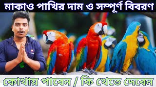 ম্যাকাও পাখির দাম সহ সম্পূর্ণ বিবরণ macaw parrot price in India 🔥🔥 [upl. by Anileda]