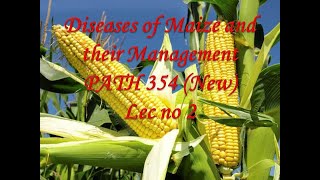 Diseases of Maize and their Management PATH 354 New Lec no 2 [upl. by Neltiac]