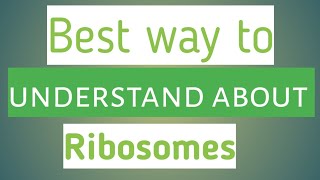 Structure and function of ribosomes cell ky ribosomes ka function [upl. by Uta753]