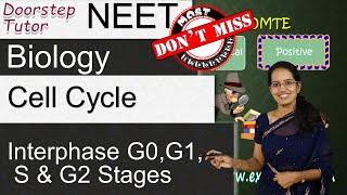 Cell Cycle  Interphase  G0 G1 S and G2 Stages  NEET  AIIMS  MCAT [upl. by Tenney]