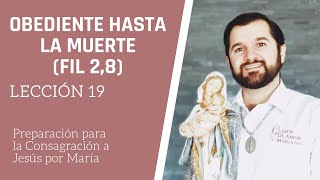 Lección 19 Obediente hasta la muerte Fil 28  Consagración a Jesús por María en 33 días [upl. by Erreid]