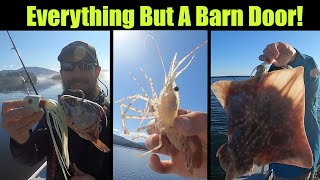 Everything But A Barn Door Alaskan Halibut Fishing  Petersburg Alaska AUGUST 2021 [upl. by Ashlie]