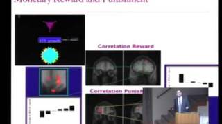 Risk The Neural Basis of Decision Making [upl. by Nodnelg]