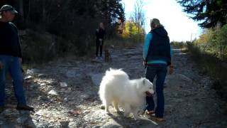 Peaked Mountain Chick Hill Hike Clifton Maine [upl. by Ahsaret]