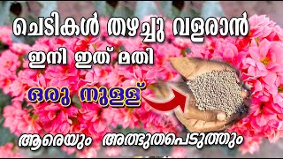 FactamfosFertilizerChedikal nallathupole valaranFactamfos all plants useschedi poopoppy vlogs [upl. by Aihsekat]