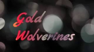 Gold Wolverines INTRO SSO Star Stable [upl. by Toombs]