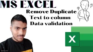 MS Excel  Data Tab  Text to column  Remove Duplicate  Data Validation [upl. by Ssidnak720]