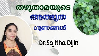 punarnavaതഴുതാമആരോഗ്യവും ആയുസ്സും നൽകാൻനീരിനെ ഇല്ലാതാക്കാൻ ഉപയോഗക്രമംAyurcharyaDrSajitha Dijin [upl. by Chase]