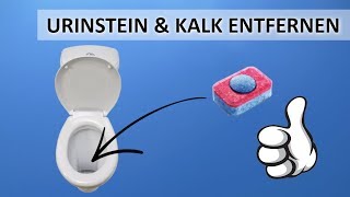 Toilette reinigen  Urinstein entfernen  Kalk beseitigen [upl. by Holbrooke]