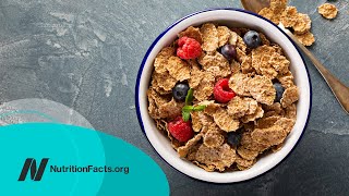 Ochratoxin in Breakfast Cereals [upl. by Acie38]