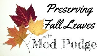 Preserving Pressed Leaves with Mod Podge FallHOA [upl. by Llenna]