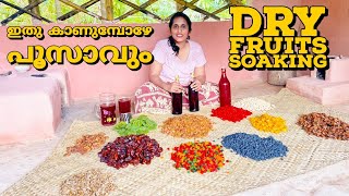 ഇത് കാണുമ്പോളെ പൂസാകുംdry fruit soaking in rum and winedry fruit soaking for plum cake [upl. by Eentihw]