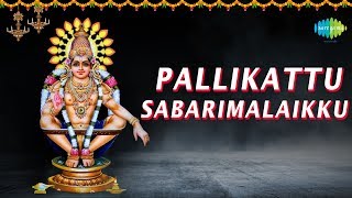 Pallikattu Sabarimalaikku Video Song  Ayyappan Songs Ayyappan Devotional SongSabarimala Darisanam [upl. by Ennovyahs]