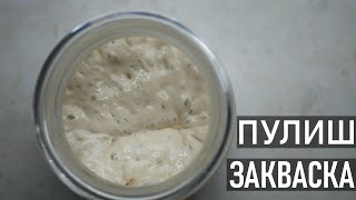 Жидкая Закваска для Пиццы и Фокаччи Пулиш [upl. by Bunch]