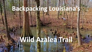 Backpacking Louisianas Wild Azalea Trail [upl. by Elyagiba]