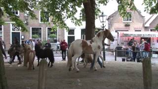 Paardenmarkt Heenvliet 2015 [upl. by Inavoy301]