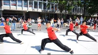 Harvard Wushu Demo [upl. by Monreal769]