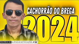 CACHORRÃO DO BREGA AO VIVO 2024 [upl. by Molahs339]