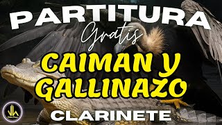 🎼 Partitura CAIMAN Y GALLINAZO  Clarinete Bb  Partituras Viktor Henao [upl. by Nodnas]