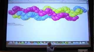 04 Biochemistry Protein PrimarySecondary Structure Lecture for Kevin Aherns BB 450550 [upl. by Ocsinarf]