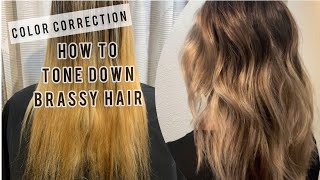 COLOR CORRECTION  Toning Down BRASSY Hair  Tips For FORMULATING [upl. by Ymma]