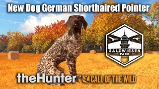 German Shorthaired Pointer Diamond Hunt At Salzwiesen Park theHunter Call Of The Wild Early Access [upl. by Nabetse974]