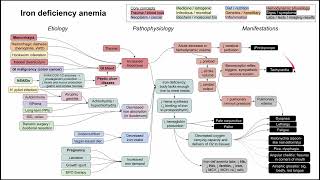 Iron deficiency anemia mechanism of disease [upl. by Atnicaj326]