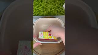 Realistic Picky Eater School Lunch ASMR pickyeaters schoollunchideas schoollunchbox preschool [upl. by Droc]