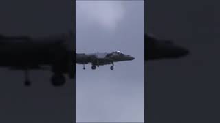 AV8B Harrier hovers over MCAS Beaufort marines usmc harrier shorts aviation airshow jets [upl. by Yendor]