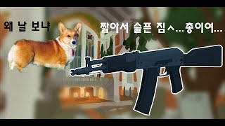 팬텀포스 어설프게 귀여워진 AK Phantom Forces AK105 [upl. by Bostow]