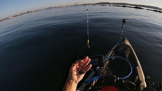 Tautog Fishing [upl. by Baptist]