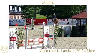 Camilla  Canturano 1 x Landos  Born in 2017 Mare [upl. by Hoashis]